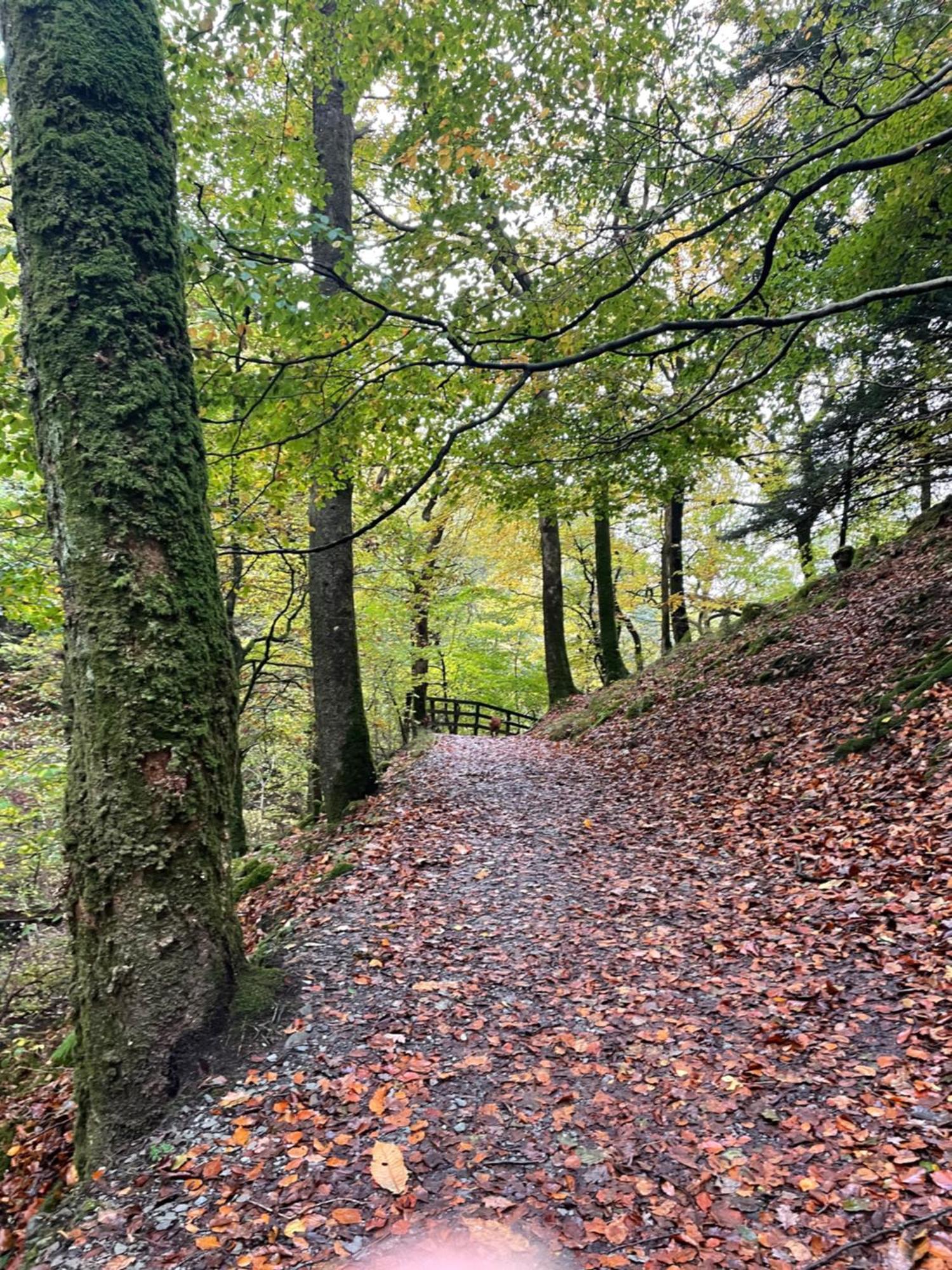 Grizedale View Apartment คอนิสตัน ภายนอก รูปภาพ