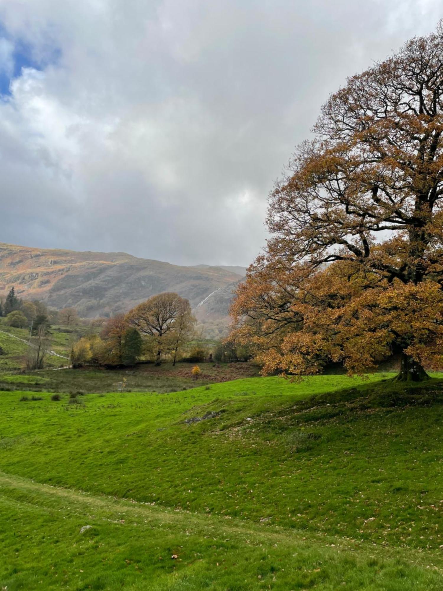 Grizedale View Apartment คอนิสตัน ภายนอก รูปภาพ